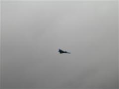 PICT1262.JPG